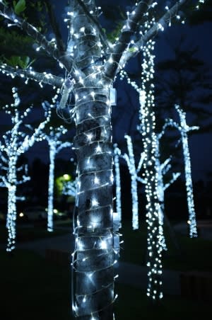 Lightening Tree with My New Led Lights